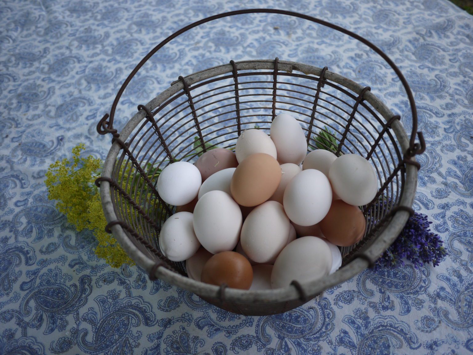 Olarps Gårdsprodukter med alla äggen i samma korg