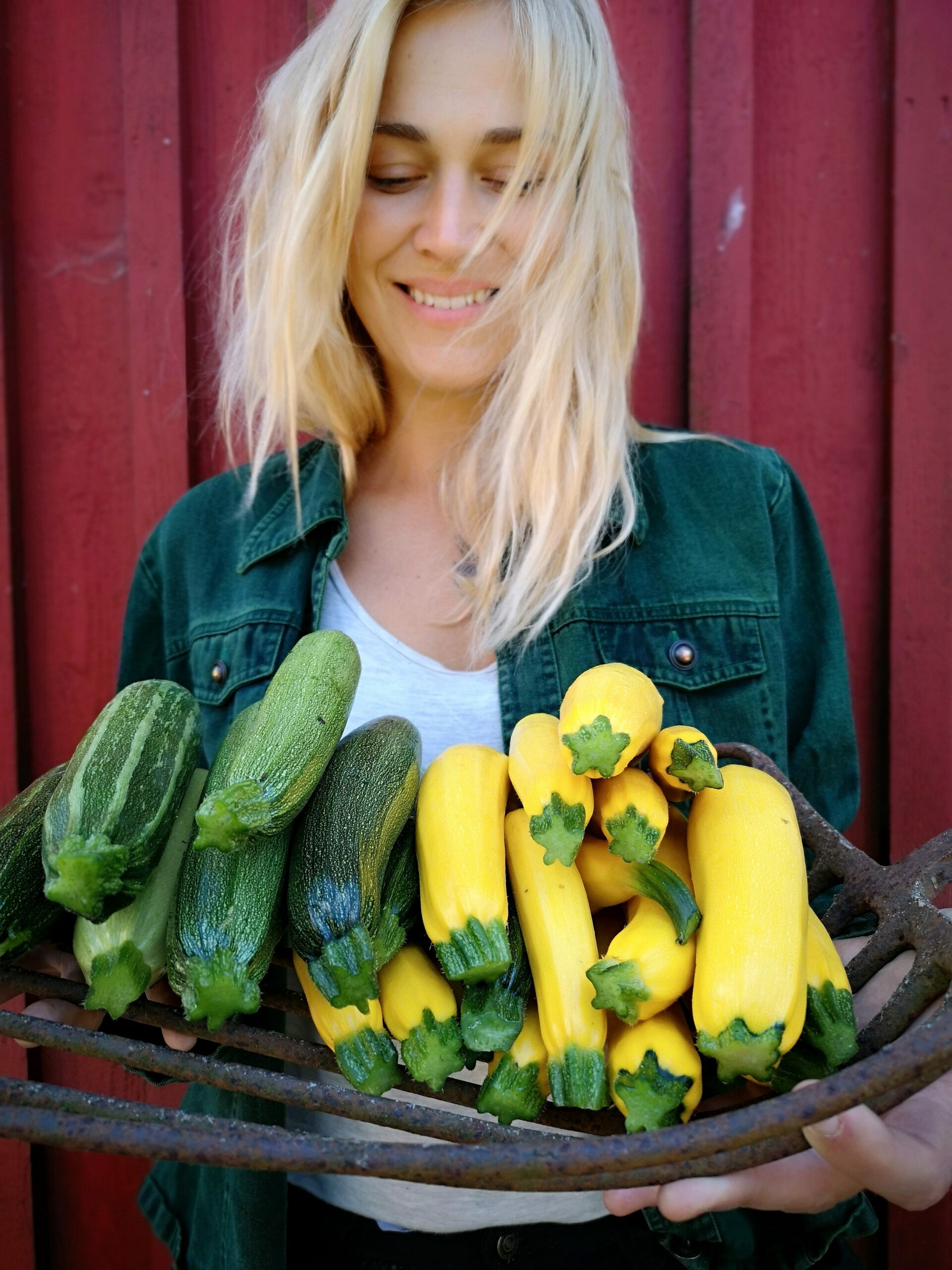 glutenfria-zucchinibiffar-reko-ring-online