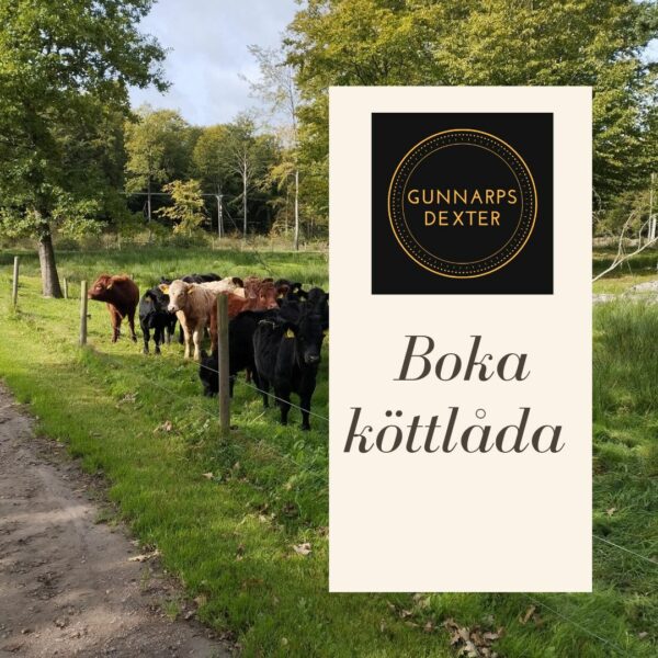 Boka köttlåda nöt (oxfile)