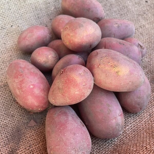 Potatis ”alouette” (KRAV) 2kg