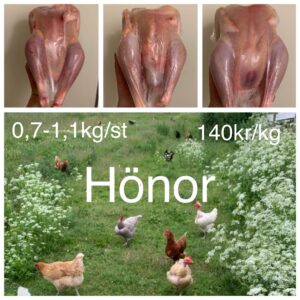 Smeds Gårds Kokehöna (Färsk)