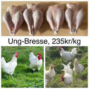 Smeds Gårds UngBresse (Färsk)