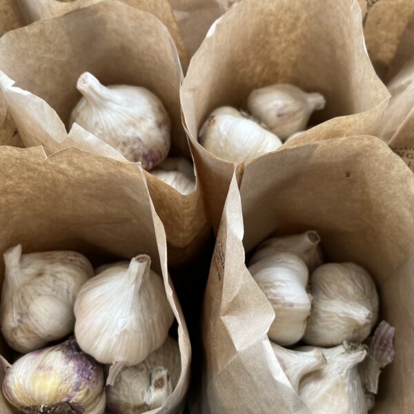 Vitlök 1/2 kg