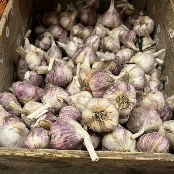 1 kg vitlök